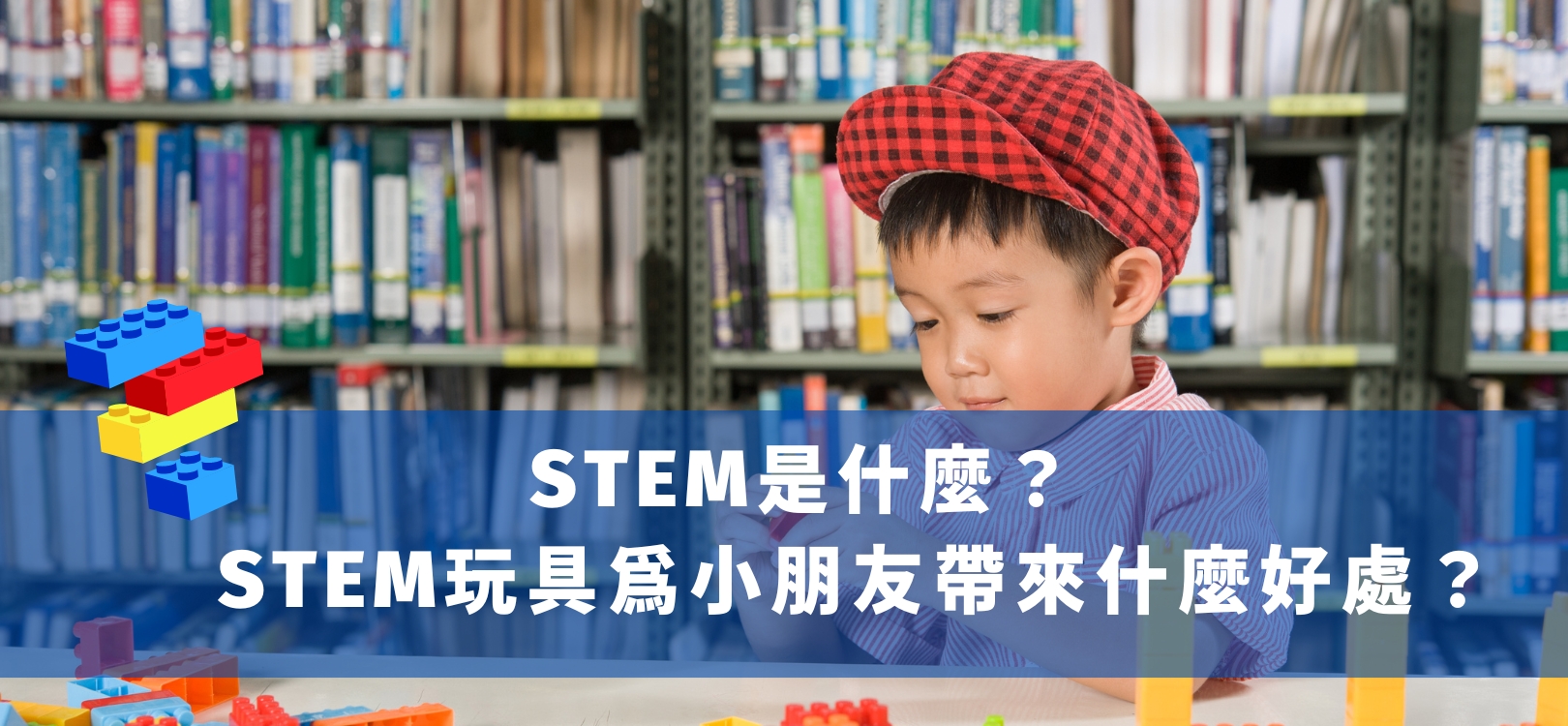 What is STEM